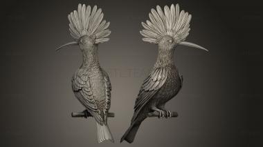 3D model HOOPOE (STL)